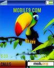 Download mobile theme parrot