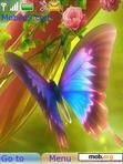 Download mobile theme Butterfly