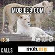 Download mobile theme White Lions