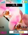 Download mobile theme bloem