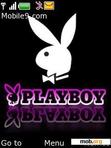 Download mobile theme Playboy themes