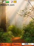 Download mobile theme forest road