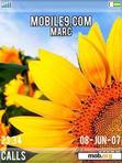 Download mobile theme flower01