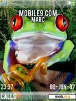 Download mobile theme frog