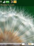 Download mobile theme Dandelion1