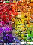 Download mobile theme Colourful abstract