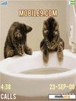 Download mobile theme ANIM CATS ON TOILET