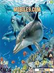 Download mobile theme ANIM DOLPHINS