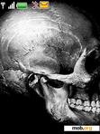 Download mobile theme skull