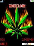 Download mobile theme ANIM FLAMING WEED