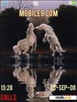 Download mobile theme ANIM HORSE PLAY