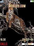 Download mobile theme ANIM LEOPARD IN TREE