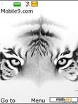 Download mobile theme tiger