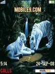 Download mobile theme ANIM TIGERS