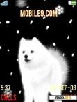 Download mobile theme ANIM WHITE HUSKY