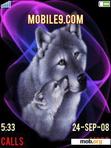 Download mobile theme ANIM WOLF & CUB