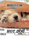 Download mobile theme HOT DOGS