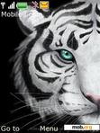 Download mobile theme Tigers