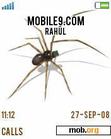 Download mobile theme ANIMATED SPIDER