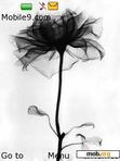 Download mobile theme Black Flower