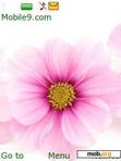 Download mobile theme pink flora