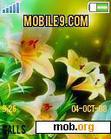 Download mobile theme nature