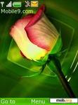 Download mobile theme green rose