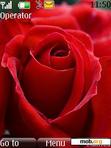 Download mobile theme Red Rose