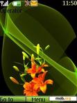 Download mobile theme Orange Flowers