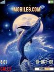 Download mobile theme DOLPHINS FLIP