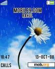 Download mobile theme ANIMATED FLOWER