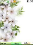 Download mobile theme White Flowers