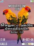 Download mobile theme bird