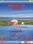 Download mobile theme Pink Flamingos