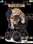 Скачать тему KITTENS IN PRAM