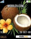 Download mobile theme coco nuts