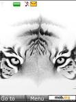 Download mobile theme White_Tiger