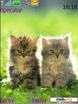 Download mobile theme Couple Cats