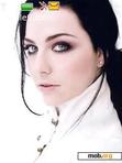 Download mobile theme Amy lee