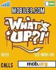Download mobile theme Whats Up