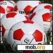 Download mobile theme A Beautiful Soccer Theme