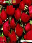 Download mobile theme rose buds