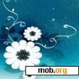 Download mobile theme blue-flower