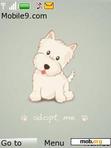 Download mobile theme cute puppy