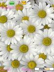 Download mobile theme FLOWERS 2