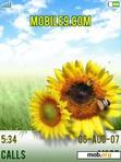 Download mobile theme sungflower