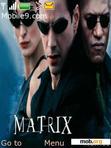 Скачать тему the matrix