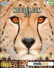 Download mobile theme cheetah