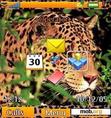 Download mobile theme Big Cats Series - Cheetah