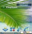 Download mobile theme Palm Vista